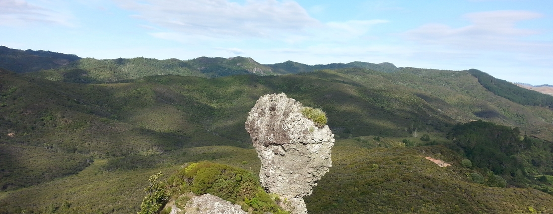 Taupo Bay accommodation